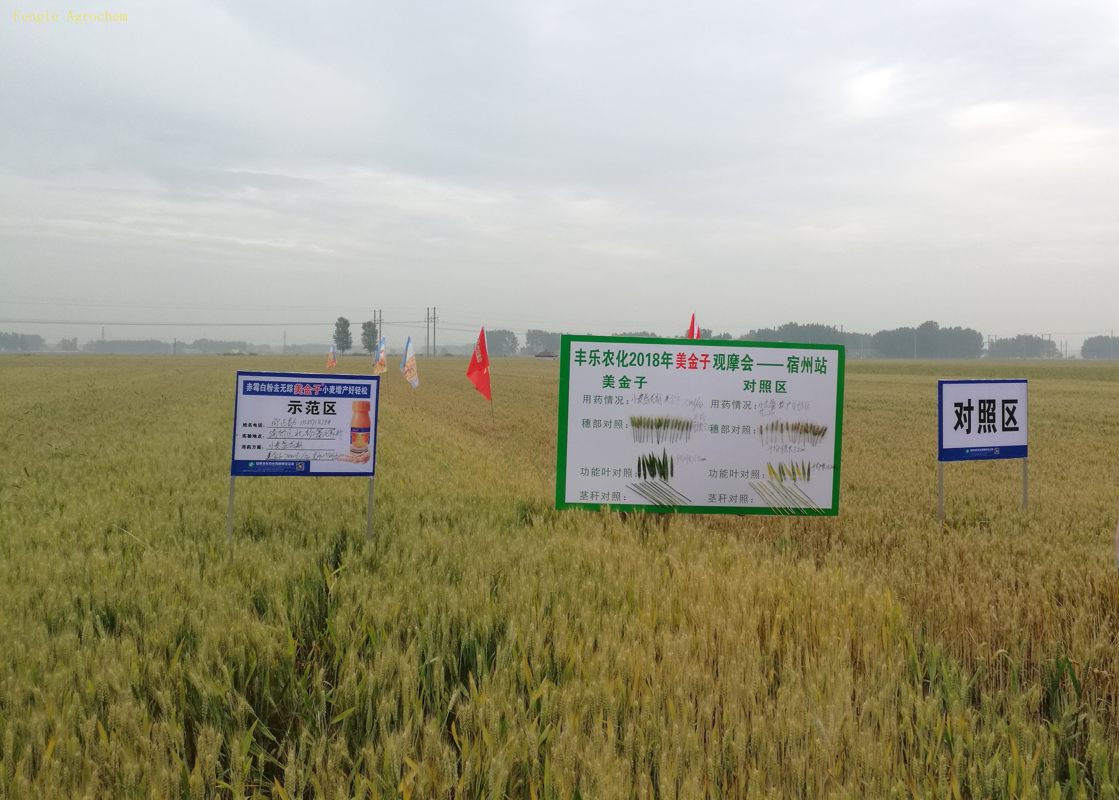 Ӣ��������ϣ��(williamhill)Ψһ���Ĺٷ���վ