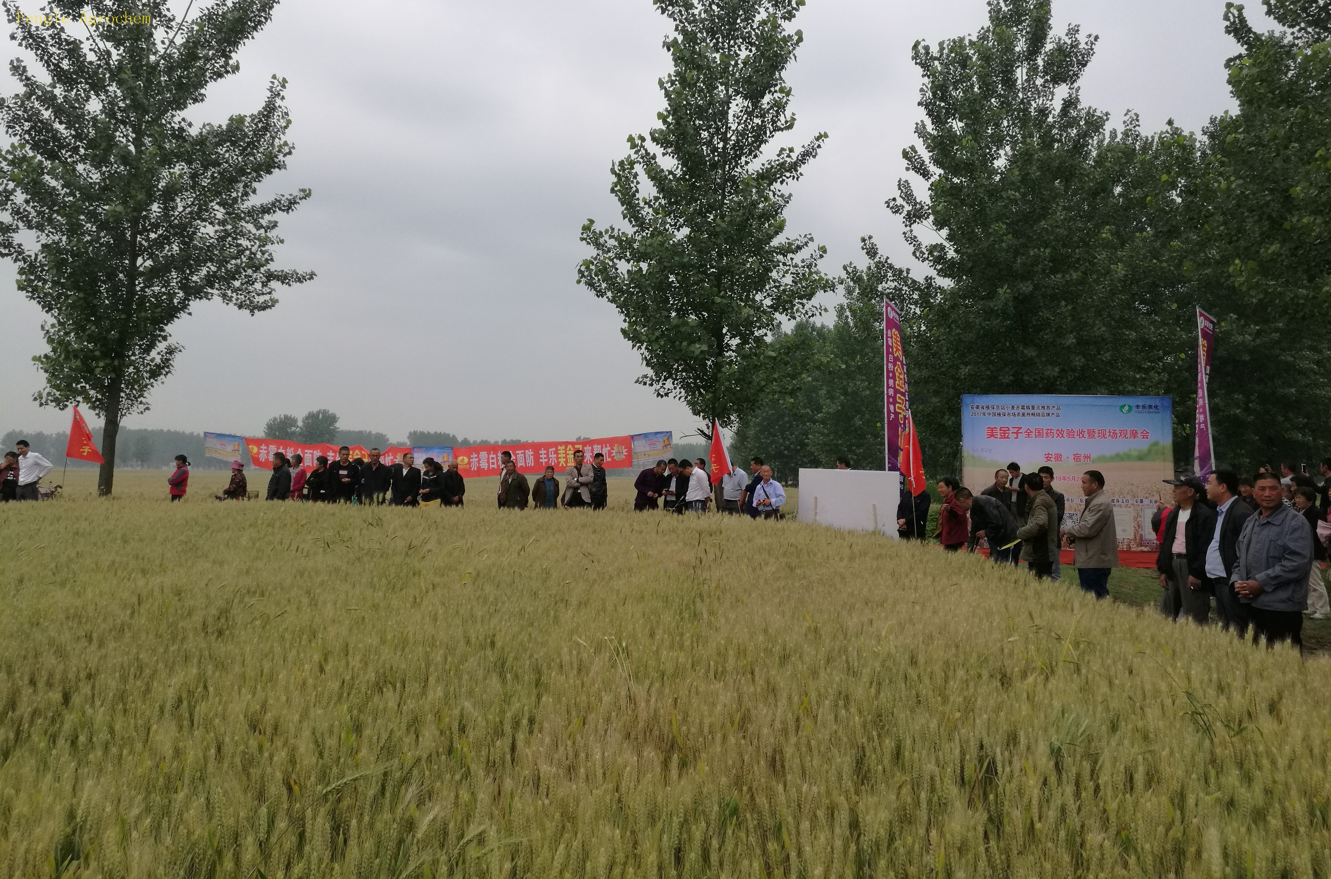 Ӣ��������ϣ��(williamhill)Ψһ���Ĺٷ���վ