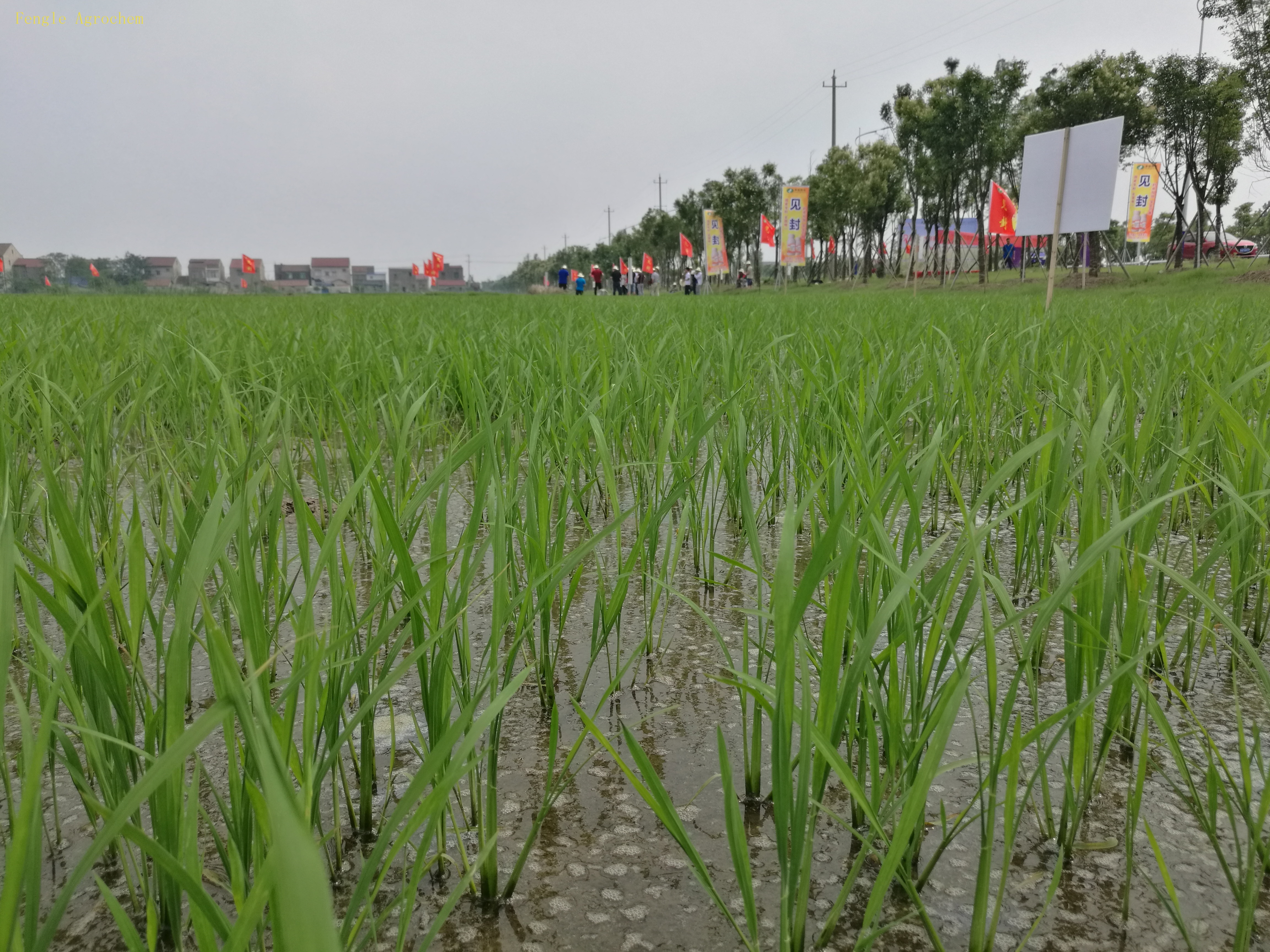 Ӣ��������ϣ��(williamhill)Ψһ���Ĺٷ���վ