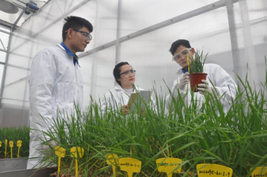 Ӣ��������ϣ��(williamhill)Ψһ���Ĺٷ���վ